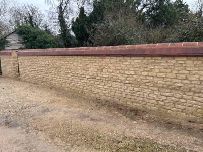 Garden/Boundary Wall